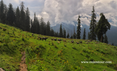 MAGESTIC HIMACHAL