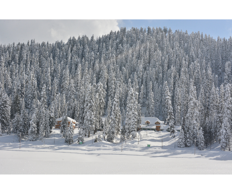 Untitled design (12)