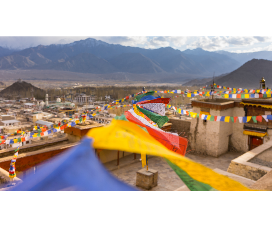 Untitled design (13)