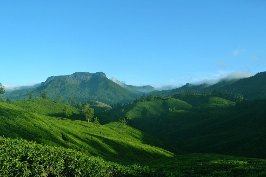 munnar-1639120_1280